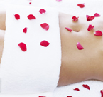 ������������ɳ����������ְҵ������ѵѧУ