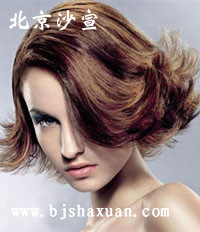 ������������ɳ����������ְҵ������ѵѧУ