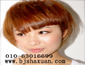 ������������������������ְҵ������ѵѧУ