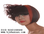 ������������ɳ����������ְҵ������ѵѧУ