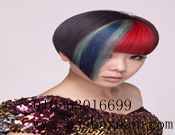 ������������ɳ����������ְҵ������ѵѧУ