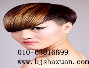 ������������ɳ����������ְҵ������ѵѧУ