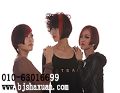 ������������ɳ����������ְҵ������ѵѧУ