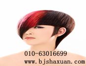 ������������ɳ����������ְҵ������ѵѧУ