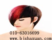 ������������ɳ����������ְҵ������ѵѧУ