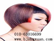 ������������������������ְҵ������ѵѧУ