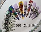 ������������ɳ����������ְҵ������ѵѧУ