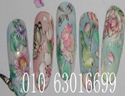 ������������ɳ����������ְҵ������ѵѧУ