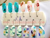 ������������ɳ����������ְҵ������ѵѧУ