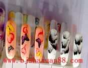 ������������ɳ����������ְҵ������ѵѧУ