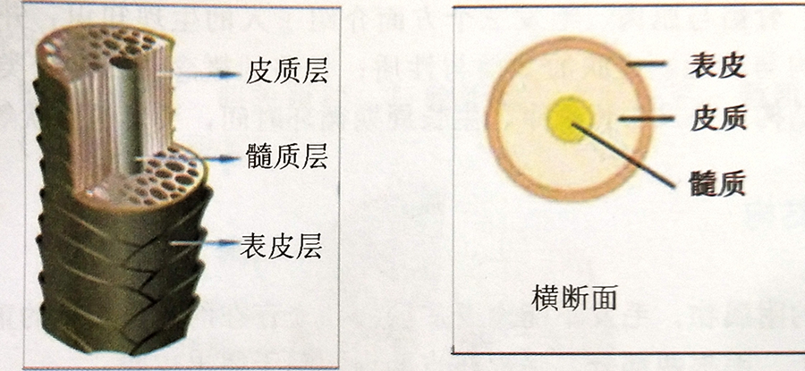美发培训学校 美发培训学校
