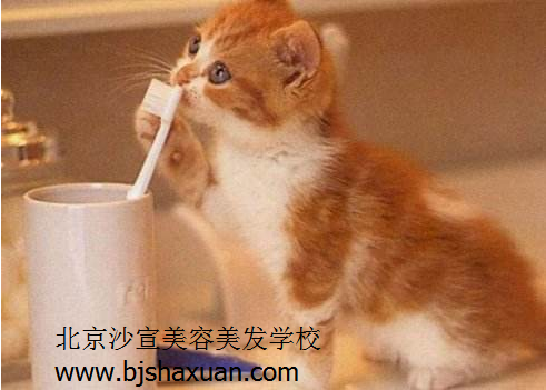 ������������ѧУ